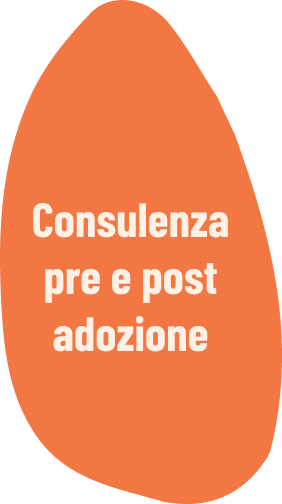 Il Grigio centro cinofilo - consulenza pre e post adozione