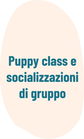 Il Grigio centro cinofilo - Puppy class e socializzazioni di gruppo