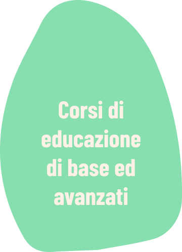 Il Grigio centro cinofilo - Corsi di educazione base ed avanzati