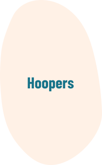 Il Grigio centro cinofilo - Hoopers