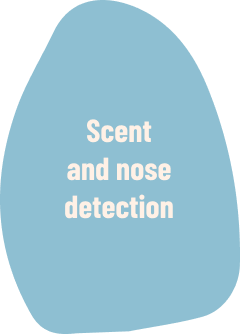 Il Grigio centro cinofilo - Scent and nose detection