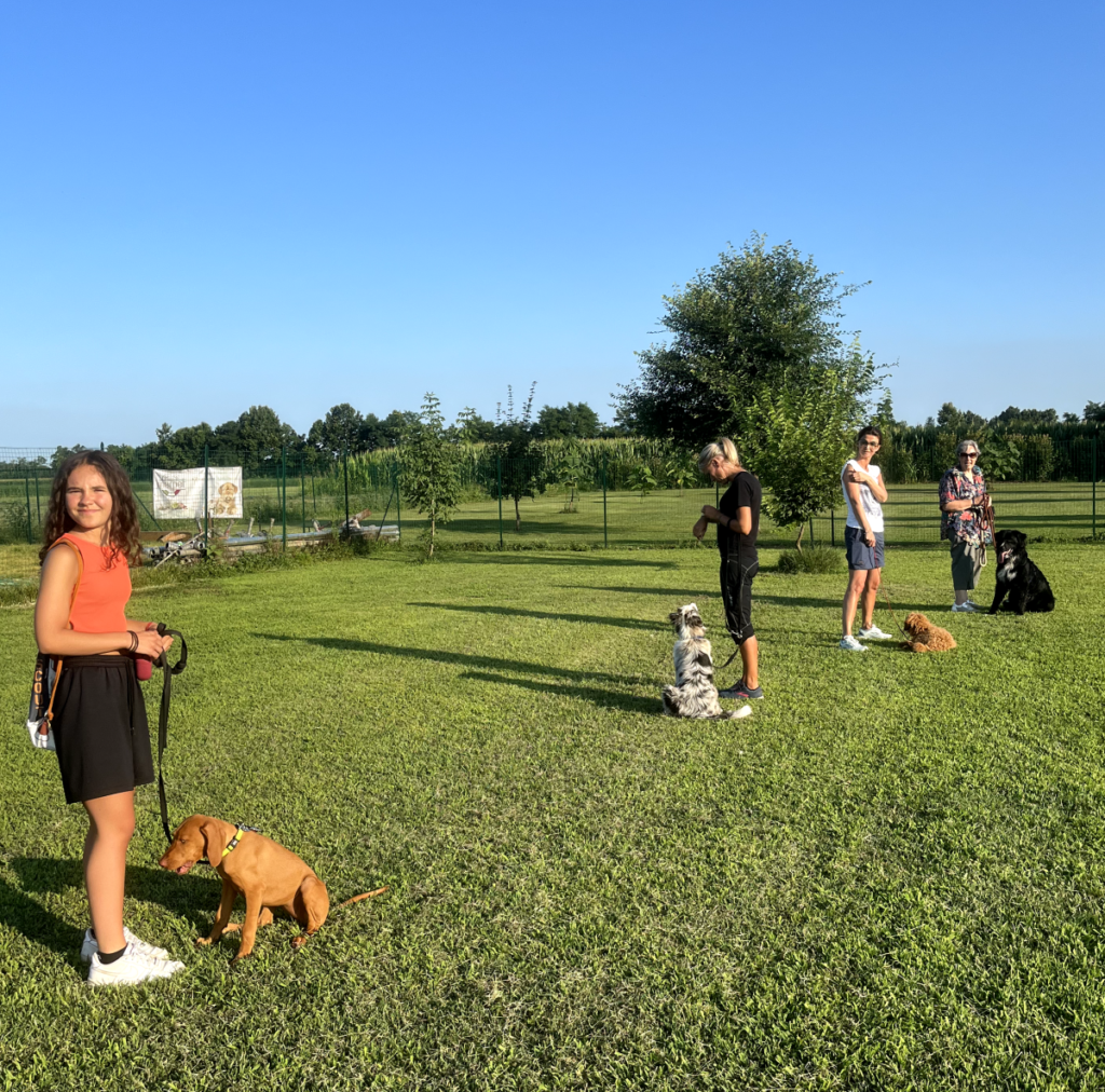 Il Grigio centro cinofilo - Puppy class e socializzazioni di gruppo