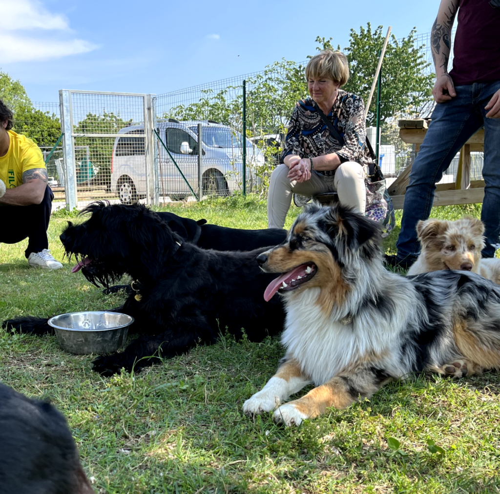 Il Grigio centro cinofilo - Puppy class e socializzazioni di gruppo