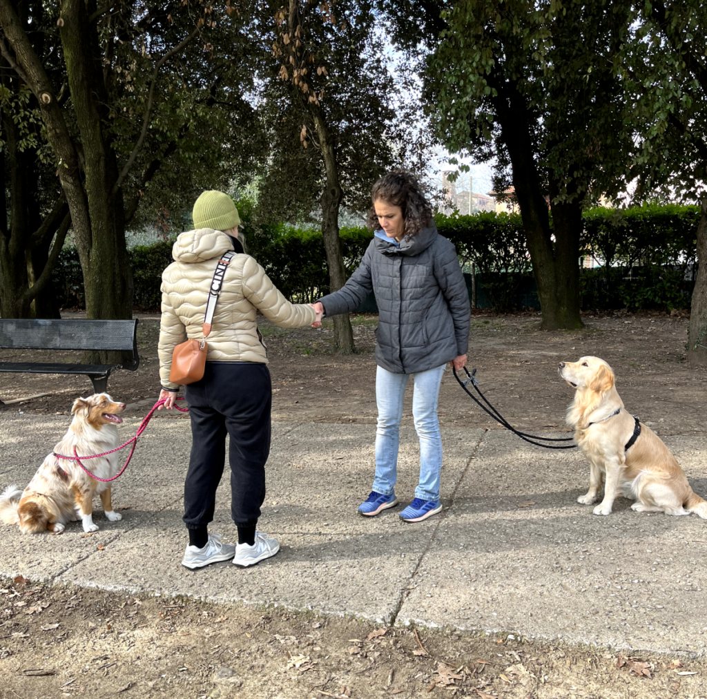 Il Grigio centro cinofilo - adult class e patentino ' Cane urbano'