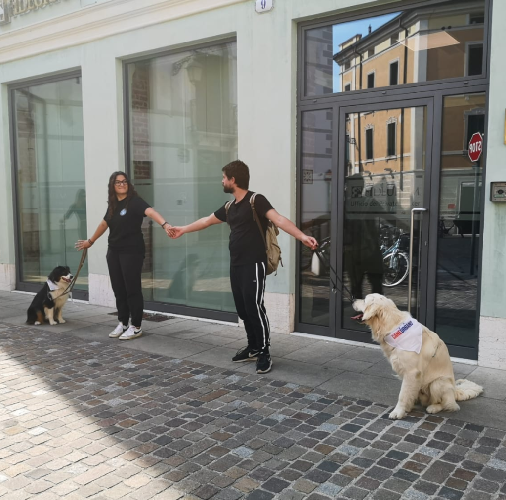 Il Grigio centro cinofilo - adult class e patentino ' Cane urbano'