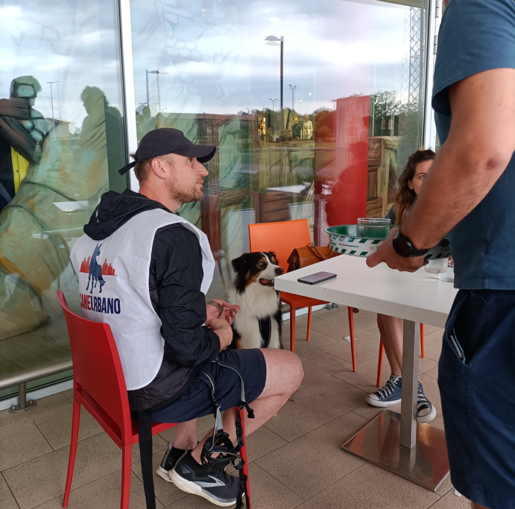 Il Grigio centro cinofilo - adult class e patentino ' Cane urbano'