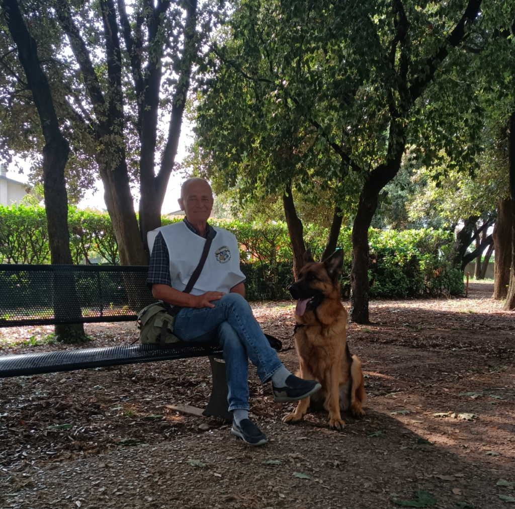 Il Grigio centro cinofilo - adult class e patentino ' Cane urbano'
