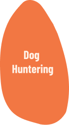 Il Grigio centro cinofilo - Dog Huntering